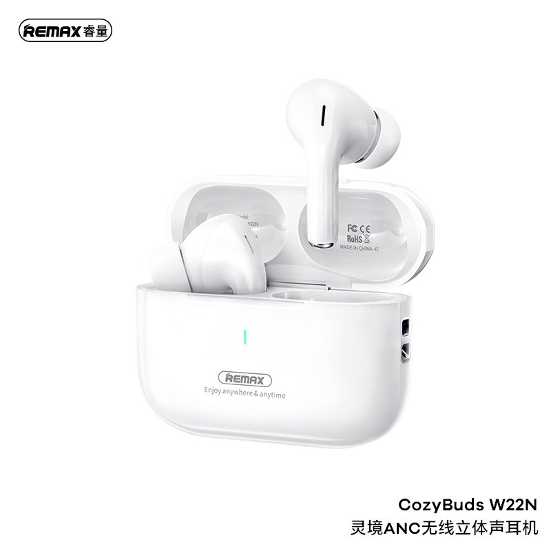 [W22N] Remax CozyBuds Écouteurs ANC W22N