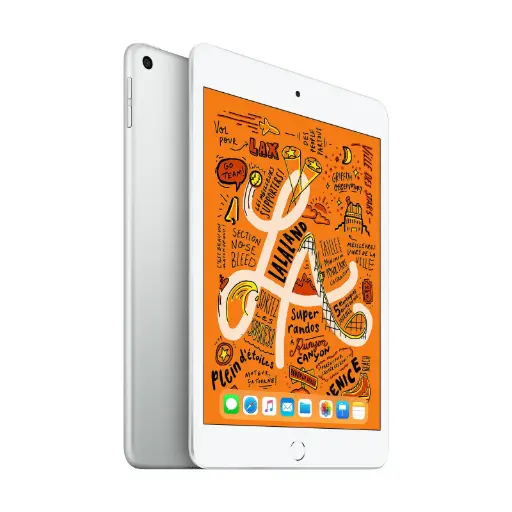 iPad Mini 5 256 Go WiFi - (R) (Argent) 